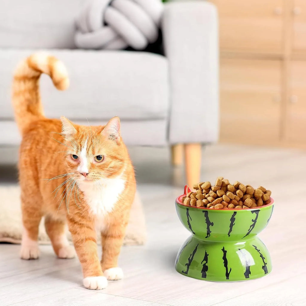 Ceramic raised cat bowl with tilted design in home setting