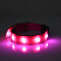 Luminous waterproof TPU dog collar in blue, adjustable free size, USB rechargeable night light