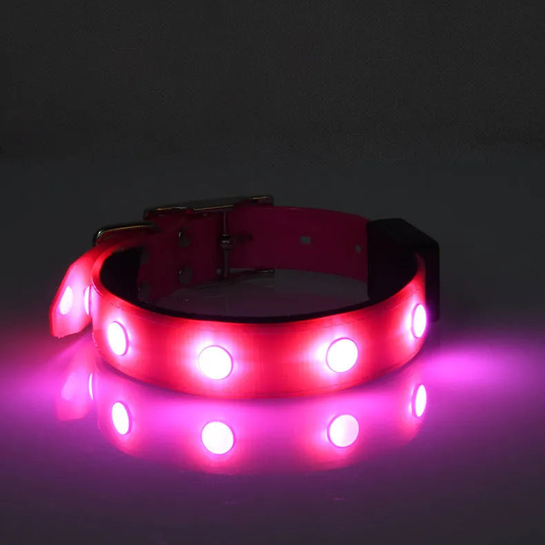 Luminous waterproof TPU dog collar in blue, adjustable free size, USB rechargeable night light