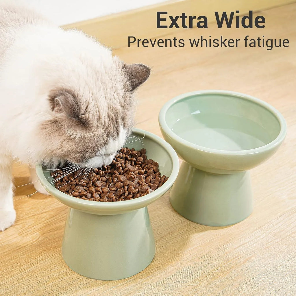 Wide shallow ceramic elevated cat food bowl in blue colour showing dimensions