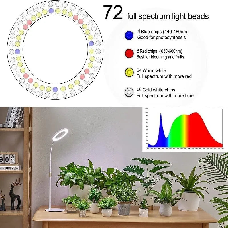 6-inch Angel Ring retractable floor standing grow light with aluminium holder next to indoor plants.