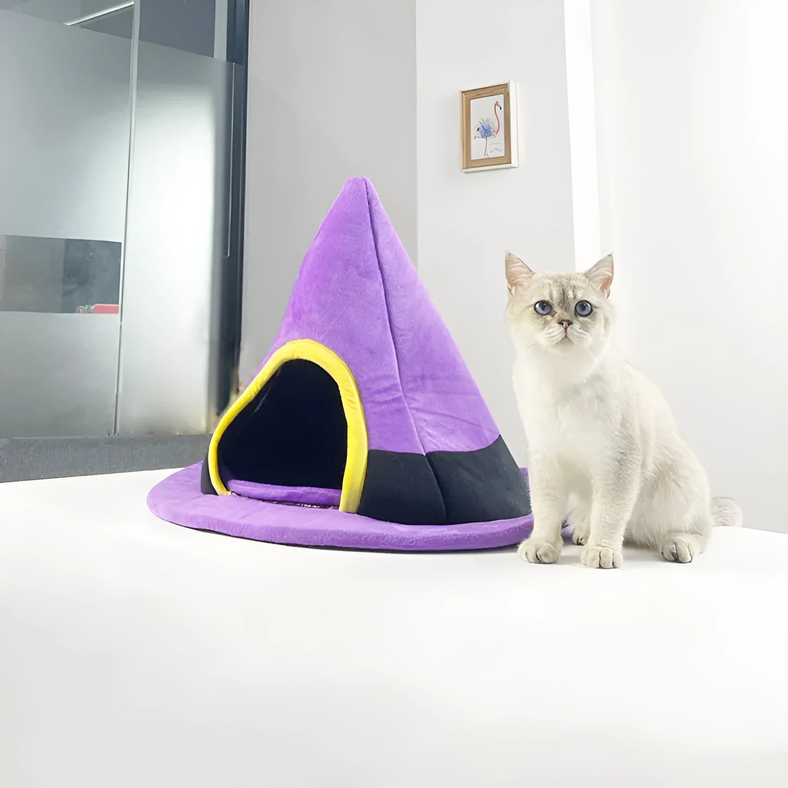 Purple Halloween witch hat shaped cloth cat bed for cats.