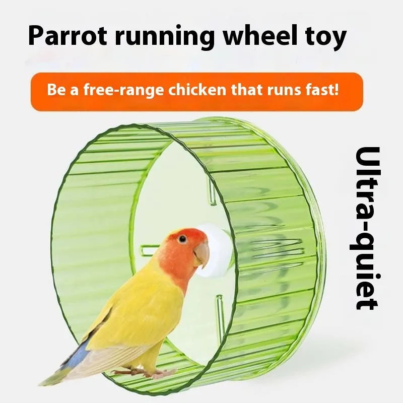 A plastic parrot exercise running wheel toy in a transparent colour, shown alongside other colour options.
