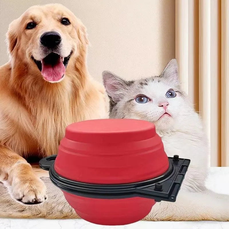 Blue folding silicone double pet bowl for dogs and cats, shown both open and collapsed flat