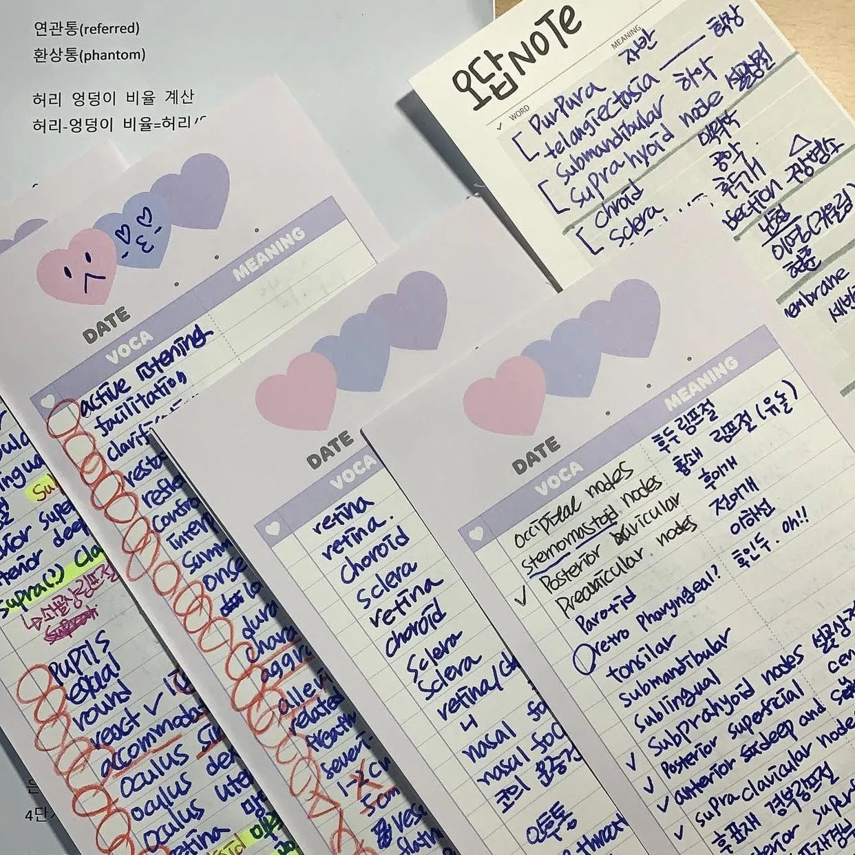 Vertical B5 half-size notepad in blue, pink, or purple cover, showing double-sided pages.