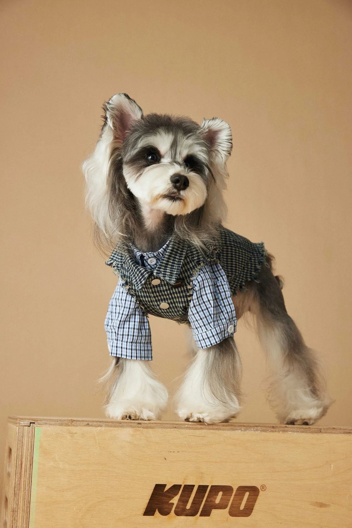 Blue washed old plaid sleeveless denim dog vest in cotton, sizes XS to XXL, spring autumn pet clothing