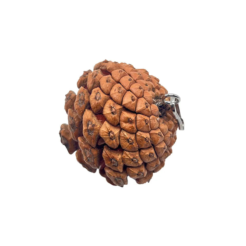 5-6cm pine cone parrot bite toy with metal studs and buckle option for pet birds