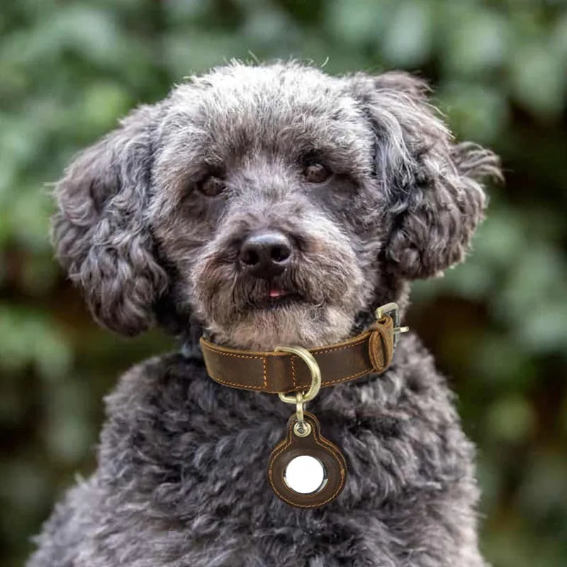 Brown retro-style genuine leather dog collar with handmade cowhide construction and halter positioning