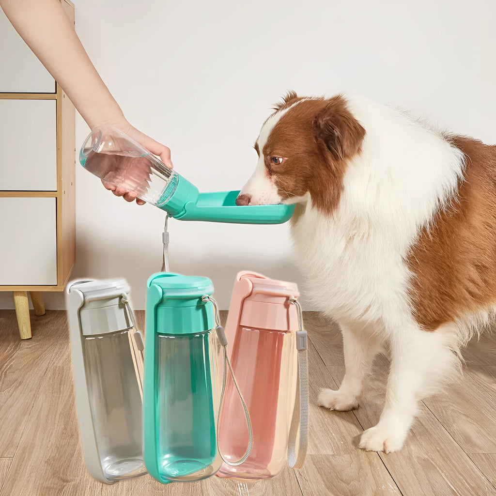 Portable pet water cup outdoor folding dog water bottle 550ml large capacity plastic solid colour