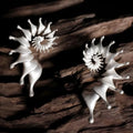 Exaggerated three-dimensional matte conch ear studs in alloy with an irregular simple style.