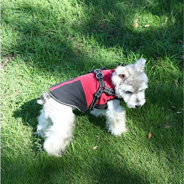Waterproof polyester pet clothing in army green, red, and sapphire blue for dogs and cats