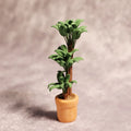 Simulation green plant coin bank money tree 3D printed in PLA, whole tree colour, approximately 15 cm tall