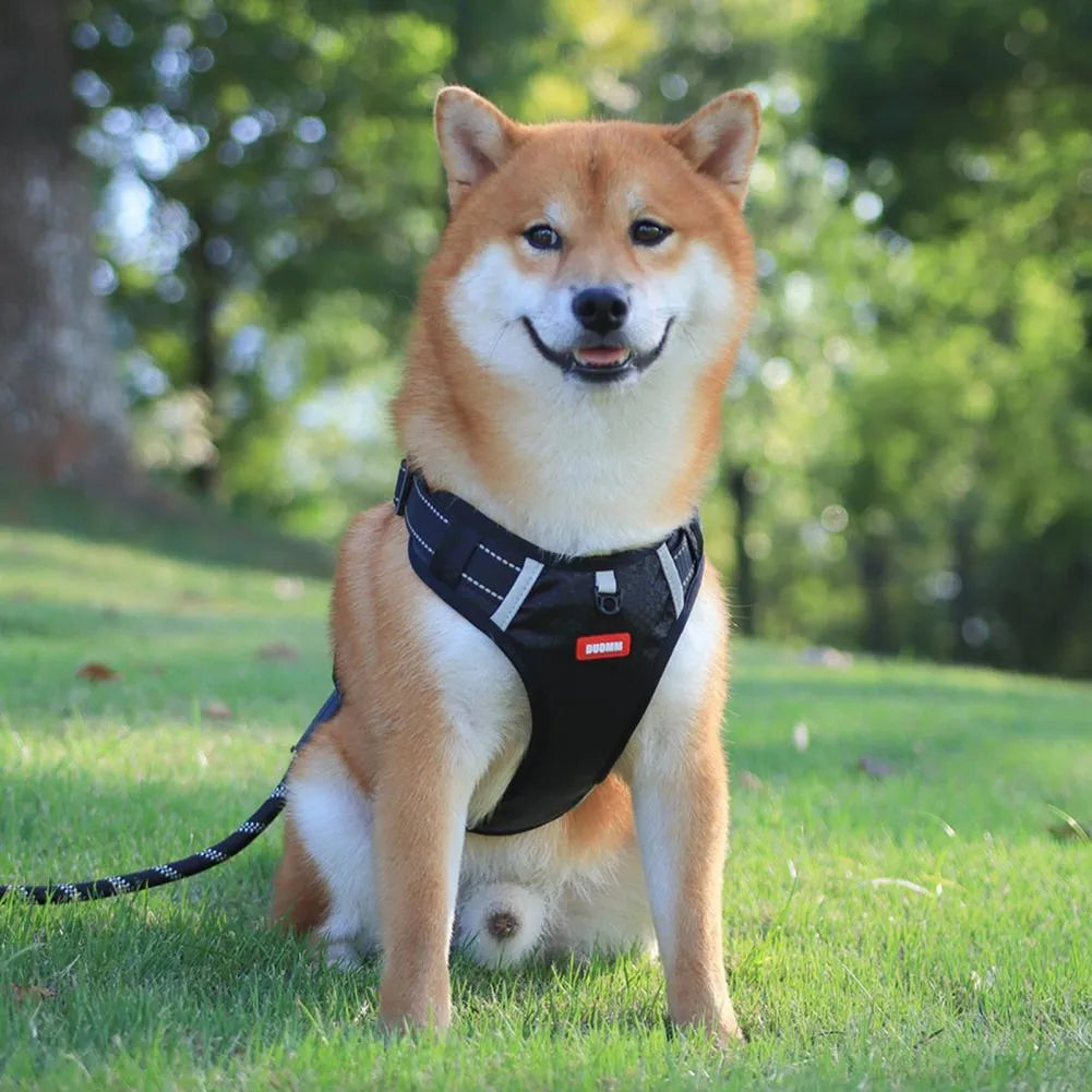 Orange adjustable nylon dog harness vest with reflective strips and breathable mesh panelling.