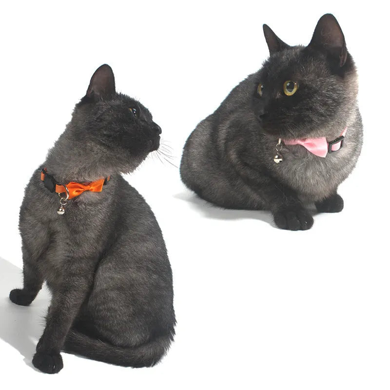Adjustable striped nylon cat collar with a small silver bell attached, shown in multiple colour options.
