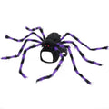 Grey polyester spider Halloween costume worn by a small dog, showing eight draped legs.