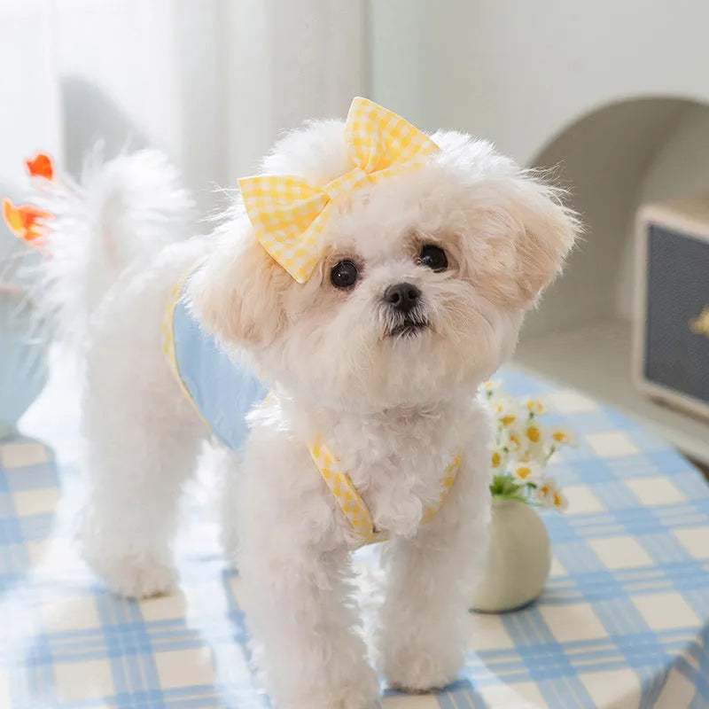 Small dog wearing a blue vest with a heart texture and back bow suspenders.