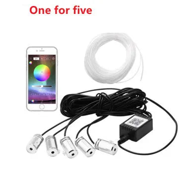 APP cold light strip car interior decoration lights with RF remote control and 6m soft rubber light pipe
