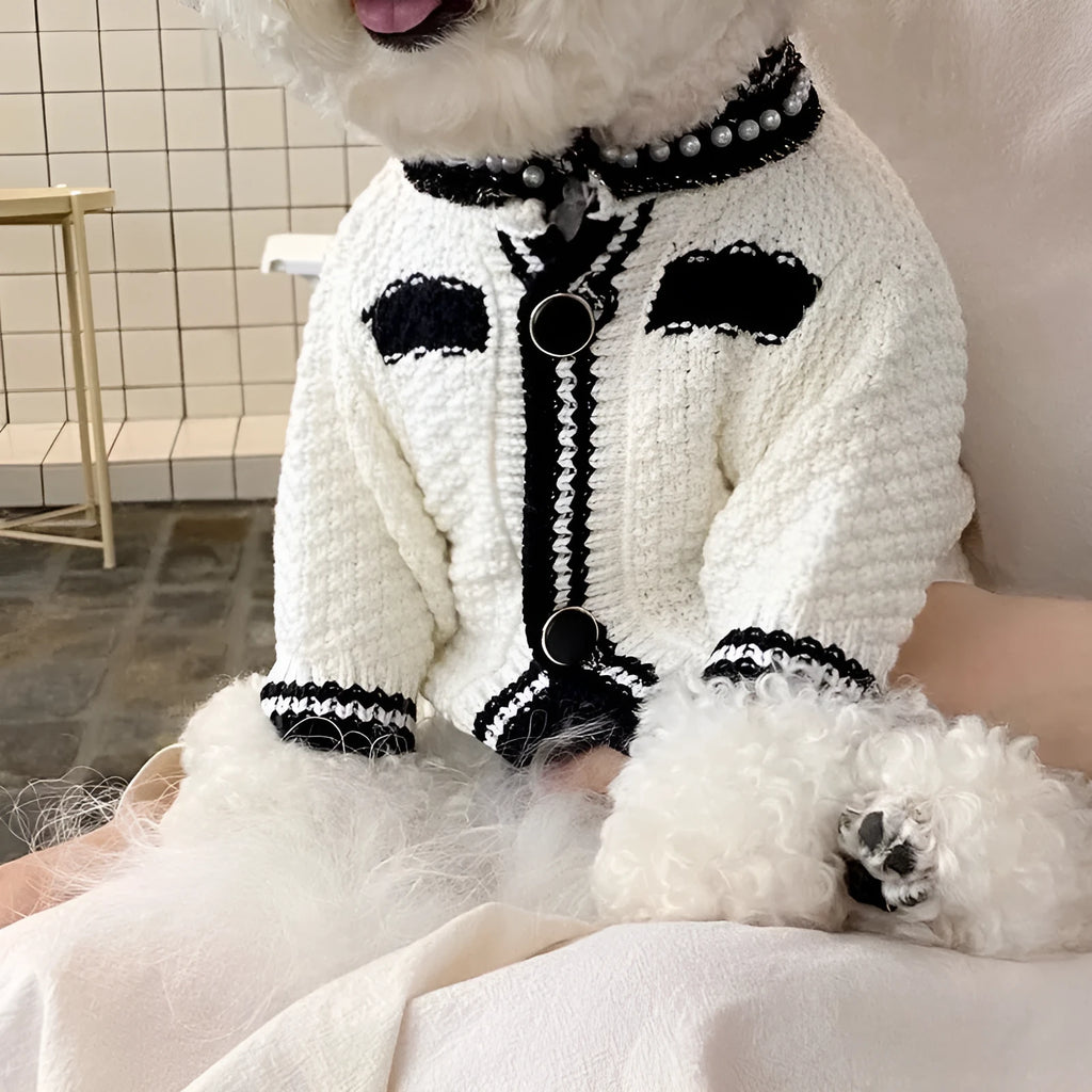Korean style dog sweater with pearl trim collar in black or white colour for small dogs