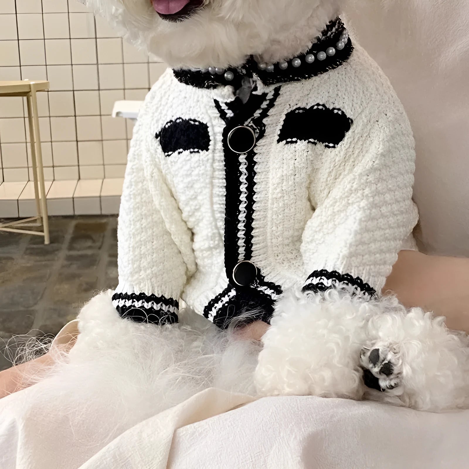 Korean style dog sweater with pearl trim collar in black or white colour for small dogs