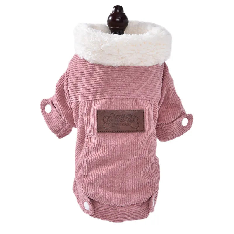 Lambswool grey fleece lined dog vest for winter warmth shown on a small dog.