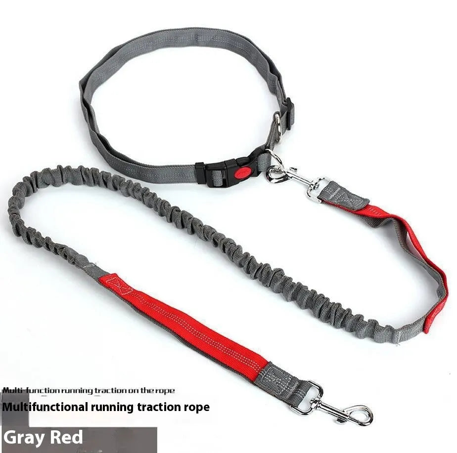 Grey and blue nylon dog leash with reflective filament and 2.5cm width.