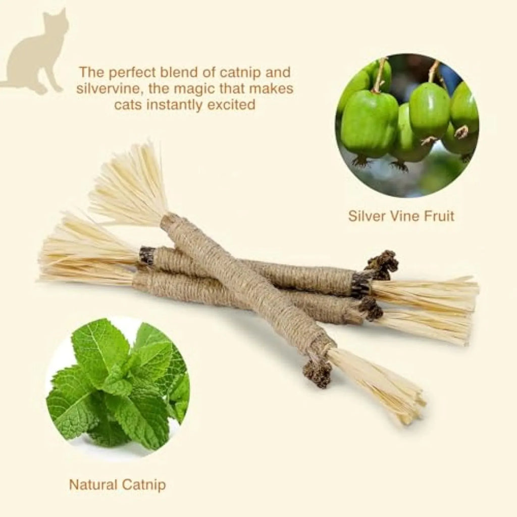 Three natural silvervine cat chew sticks with sisal rope and raffia for dental care and teeth cleaning