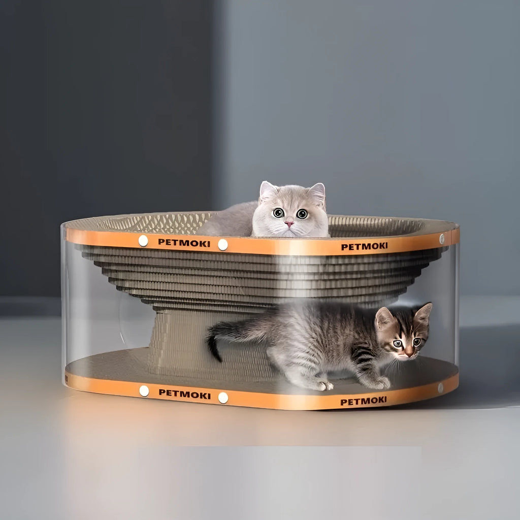 White and transparent Diamond 2-in-1 cat nest tunnel toy with integrated scratch board, dimensions 58x45x23cm.