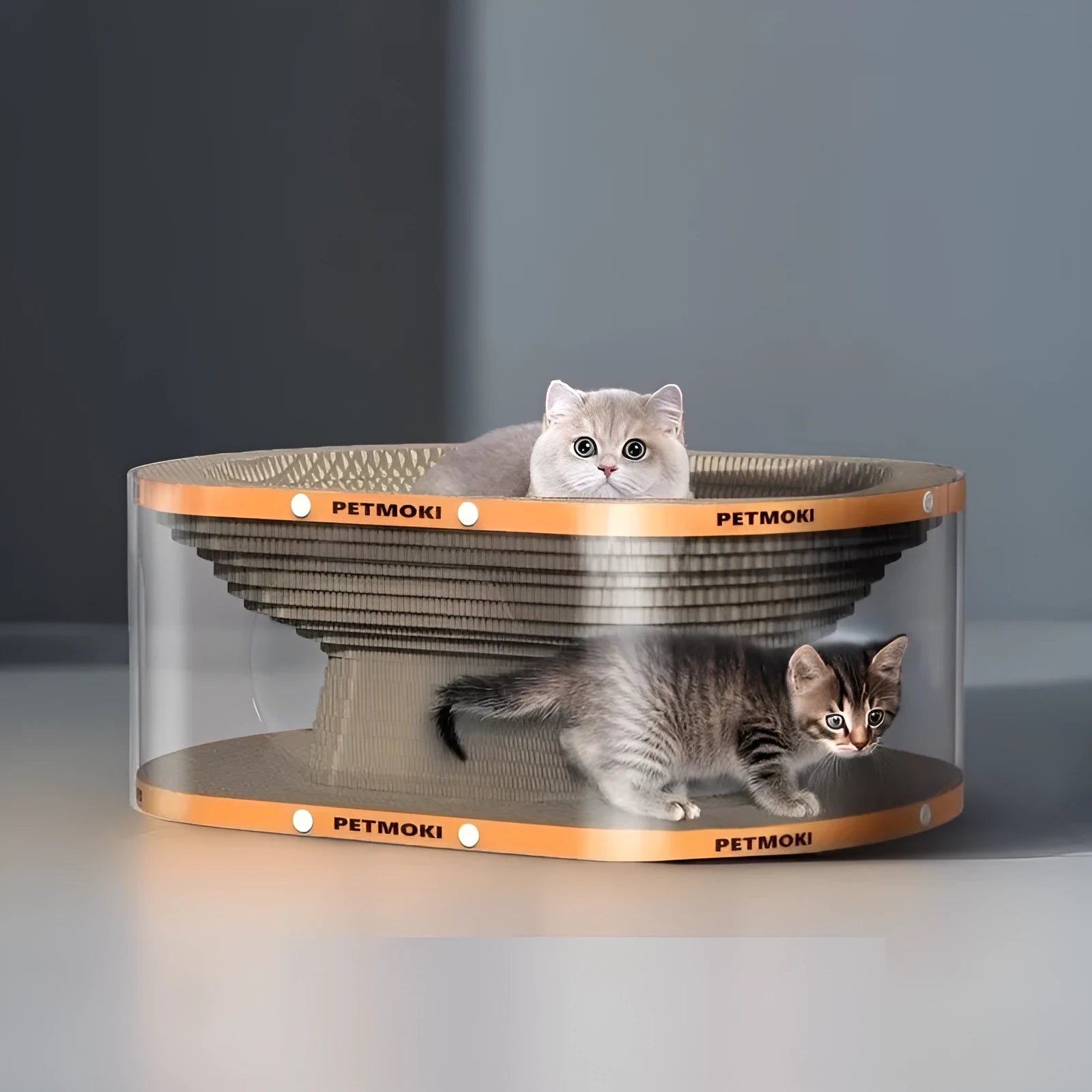 White and transparent Diamond 2-in-1 cat nest tunnel toy with integrated scratch board, dimensions 58x45x23cm.