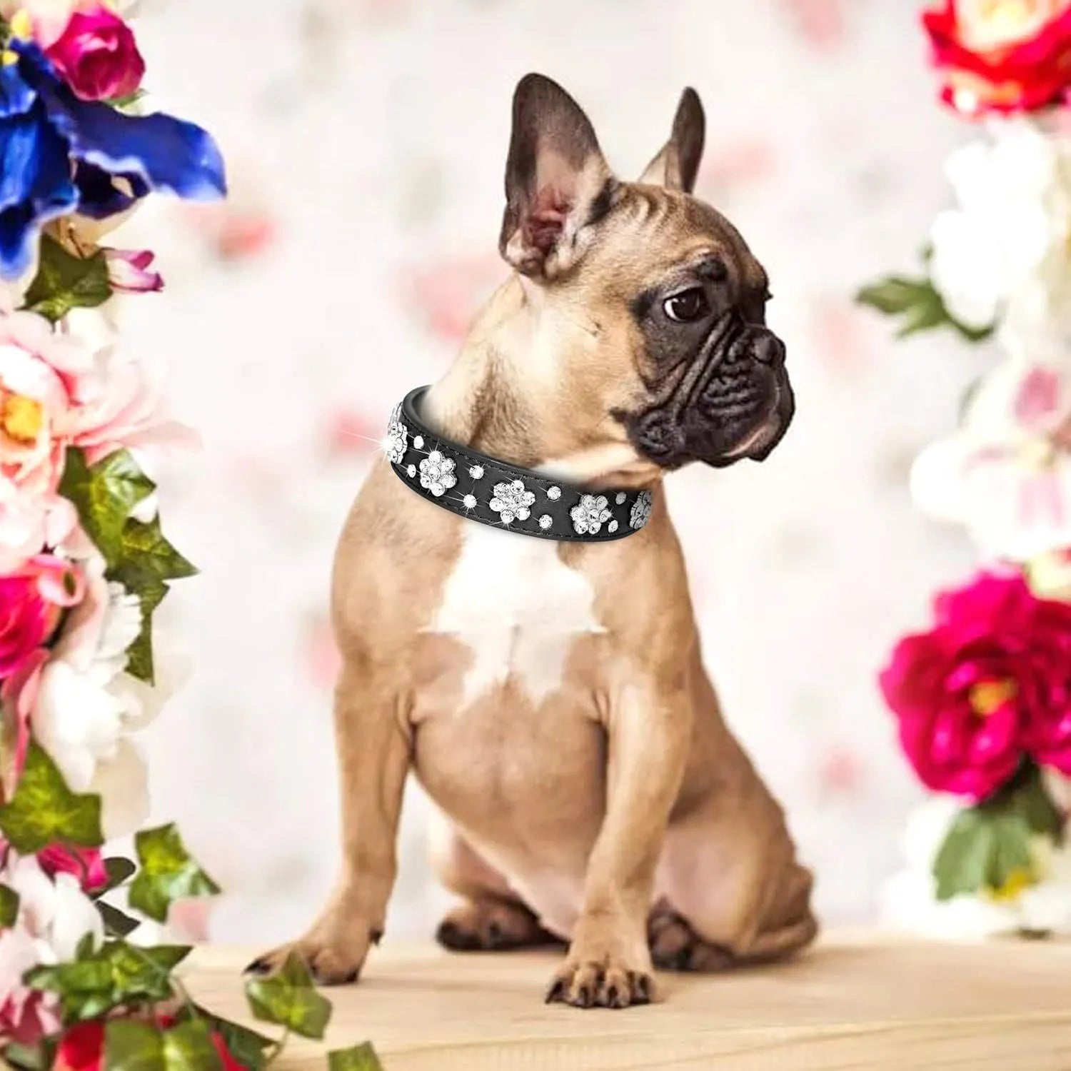 Black PU leather dog collar with sparkling rhinestone flower studs and a metal D-ring.