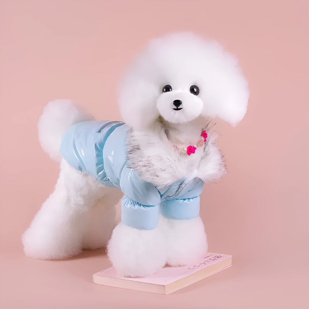 Blue British style cotton dog jacket for winter wear on medium-sized dog