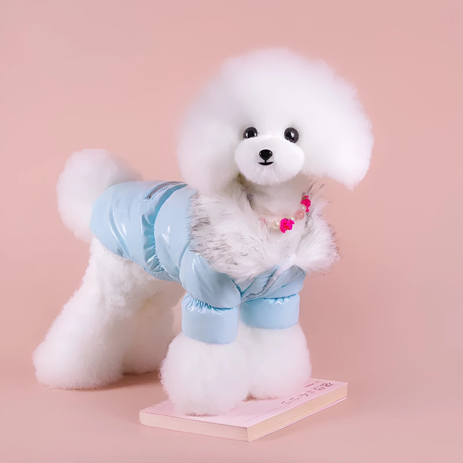 Blue British style cotton dog jacket for winter wear on medium-sized dog