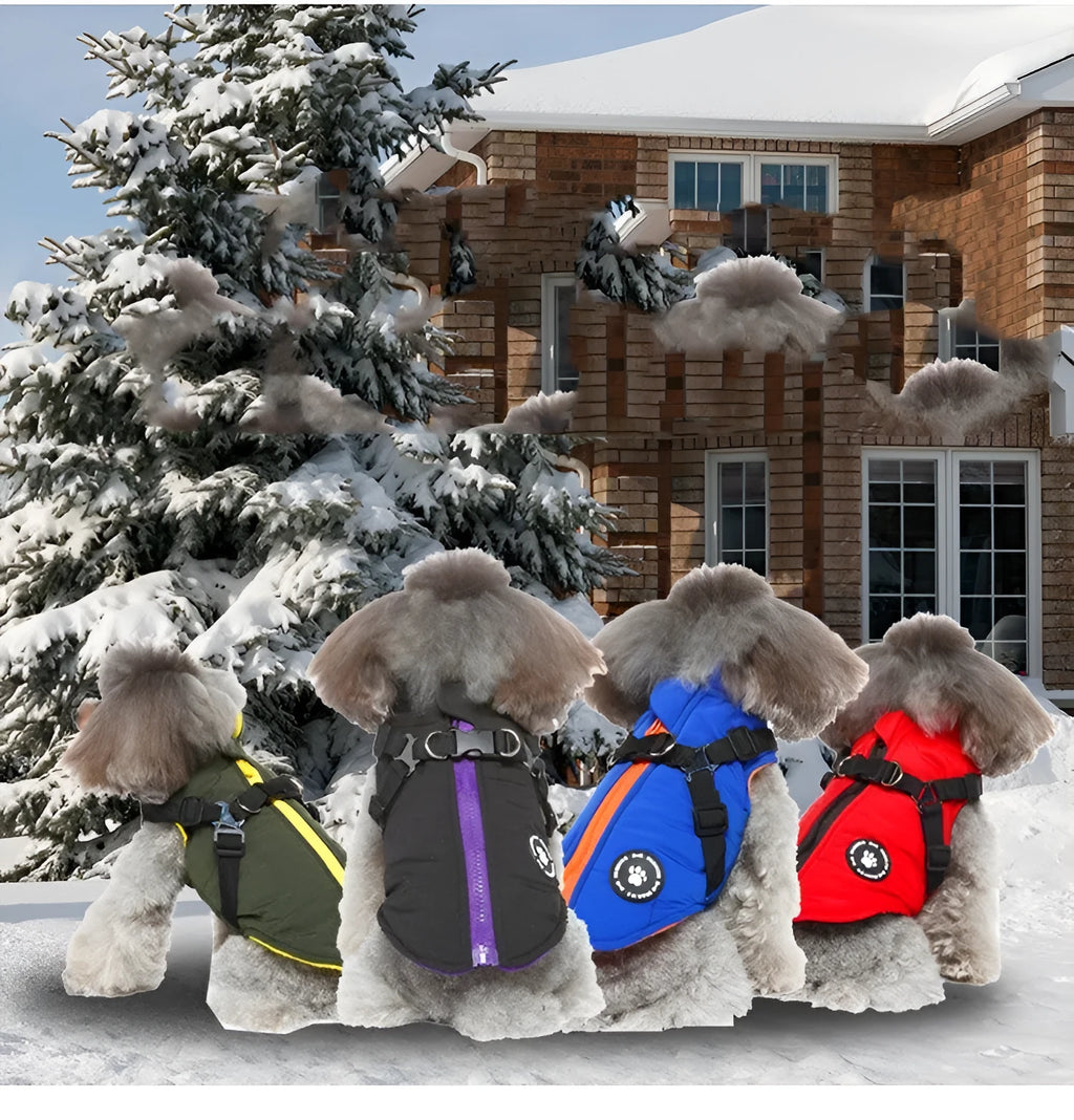 Polyester dog coat with chest strap in blue, shown on a model dog.