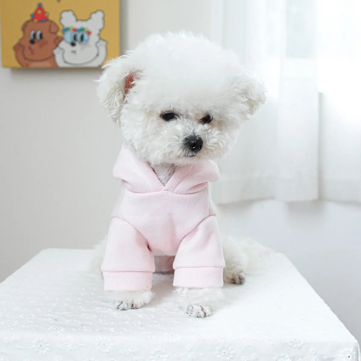 Hooded princess style pet sweater for small dogs and cats in polyester material