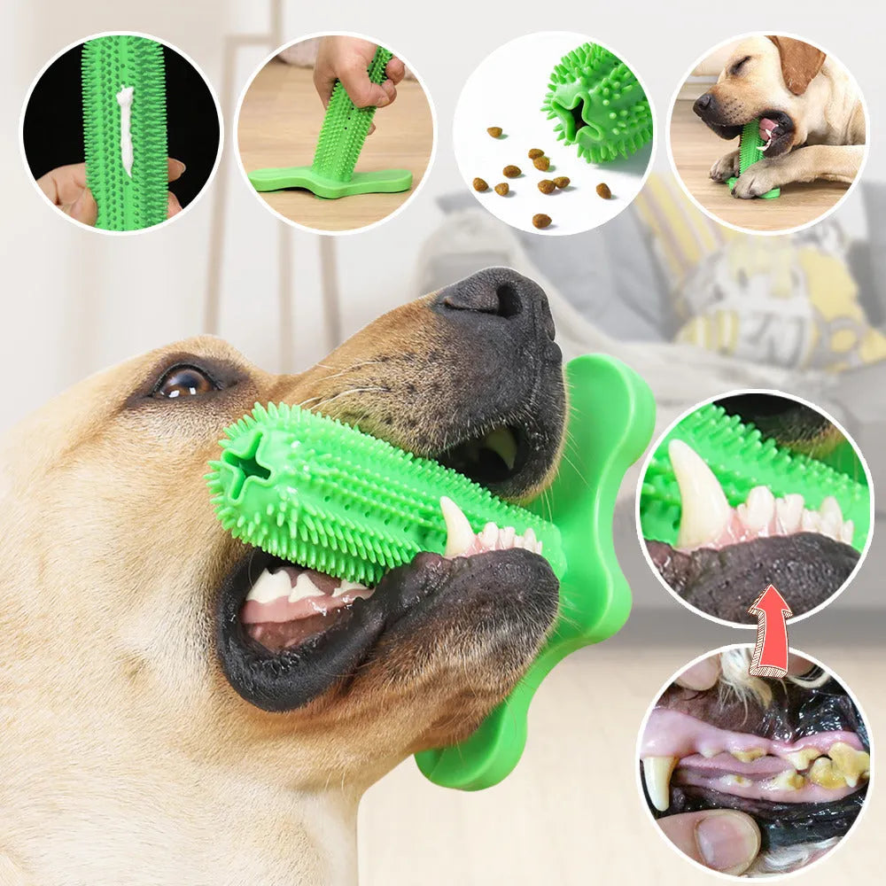 Green TPR dog chew toy with suction cup, small and large molar rods for teeth cleaning