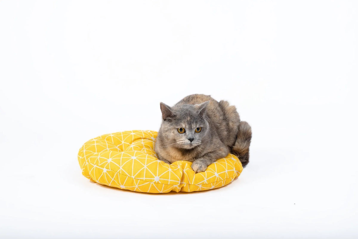 Woven round hanging cat bed with rattan wood lining, 45cm height, shown in small and large sizes