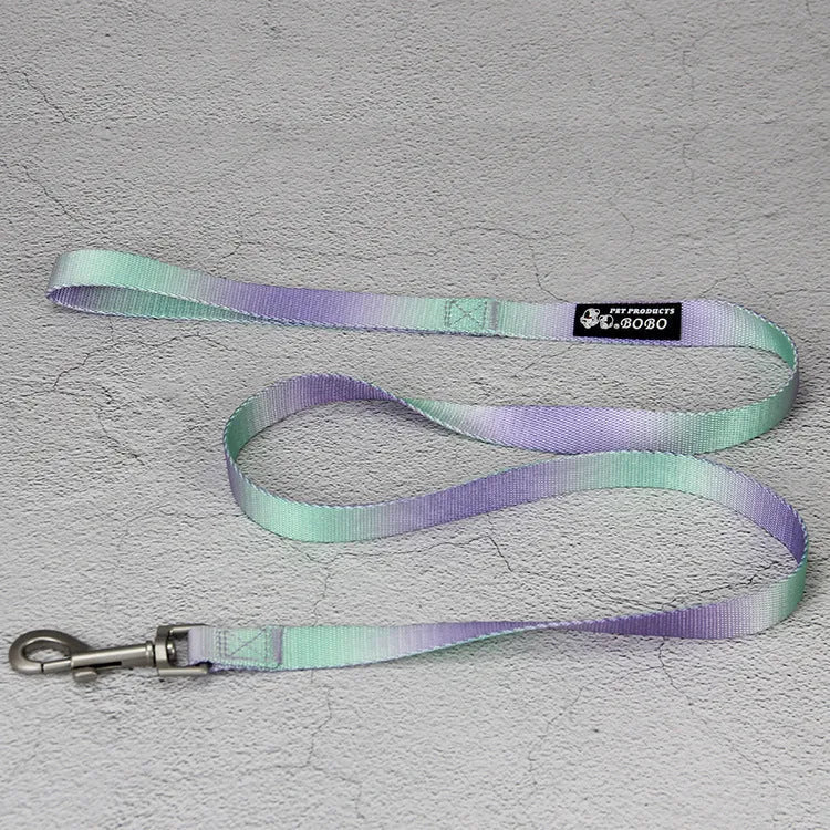 Nylon dog leash set showing gradient colour options including pink blue yellow purple green patterns
