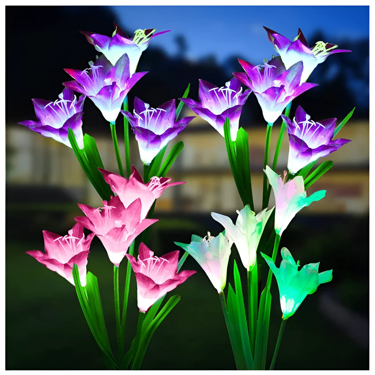Solar lily flower garden light with purple or red flower head, ground stake, 70cm total height and IP65 waterproof rating