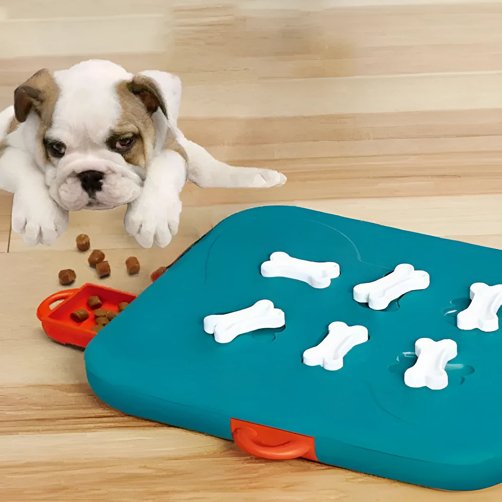 Blue Pet Casino Treasure Hunt Puzzle Food Spill Toy made of lightweight plastic for slow feeding
